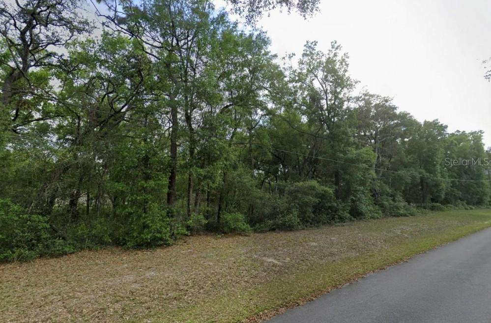 SE 59th Pl., Ocklawaha, FL 32179