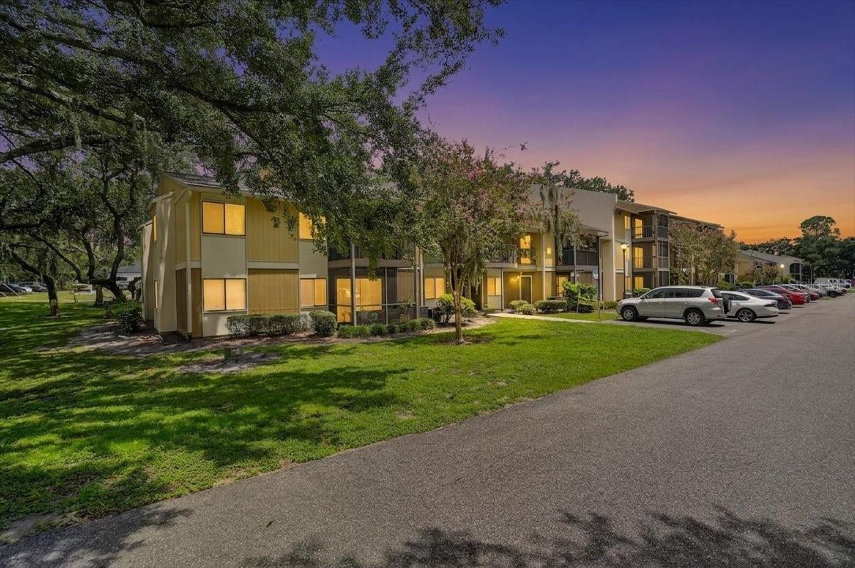 13405 Arbor Pointe Cir. #104, Tampa, FL 33617