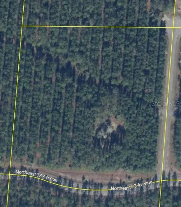Tbd, Melrose, FL 32666