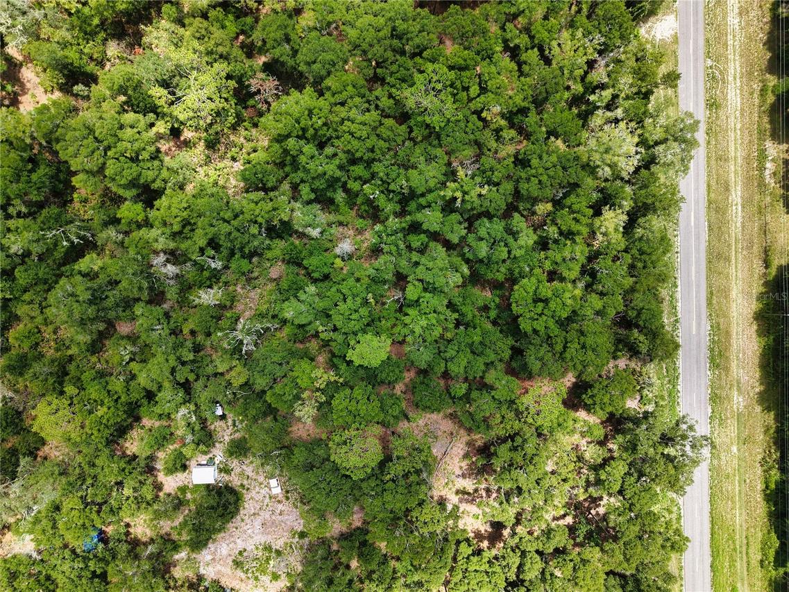 000 NE 410th Ave., Old Town, FL 32680