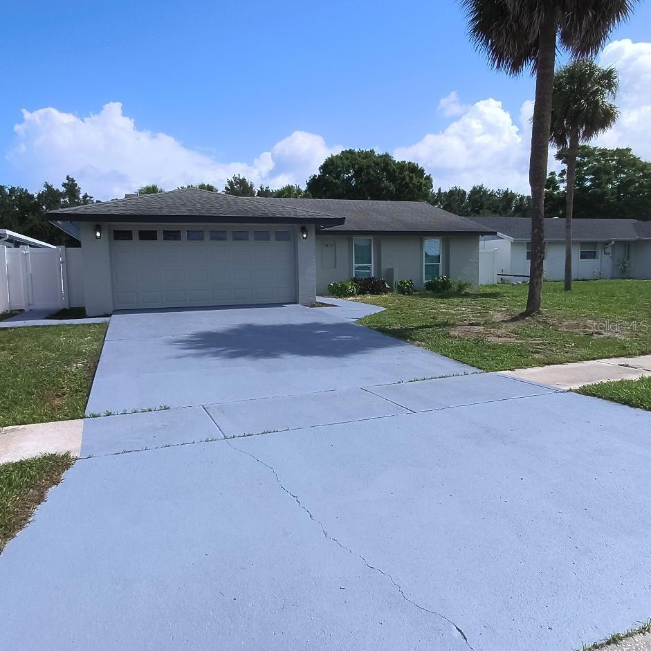 7019 Fountain Ave., Tampa, FL 33634
