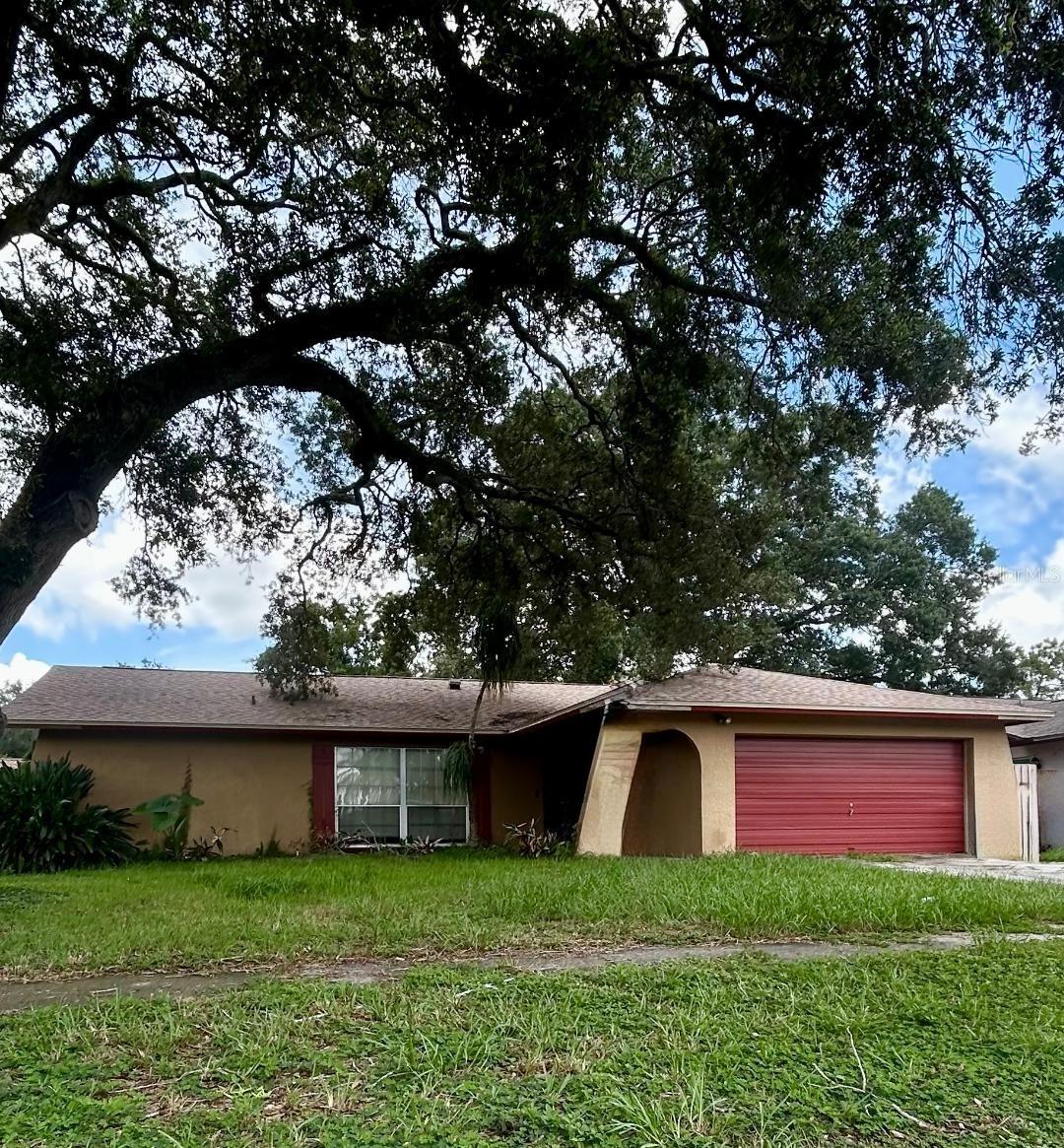 505 Proclamation Dr., Tampa, FL 33613