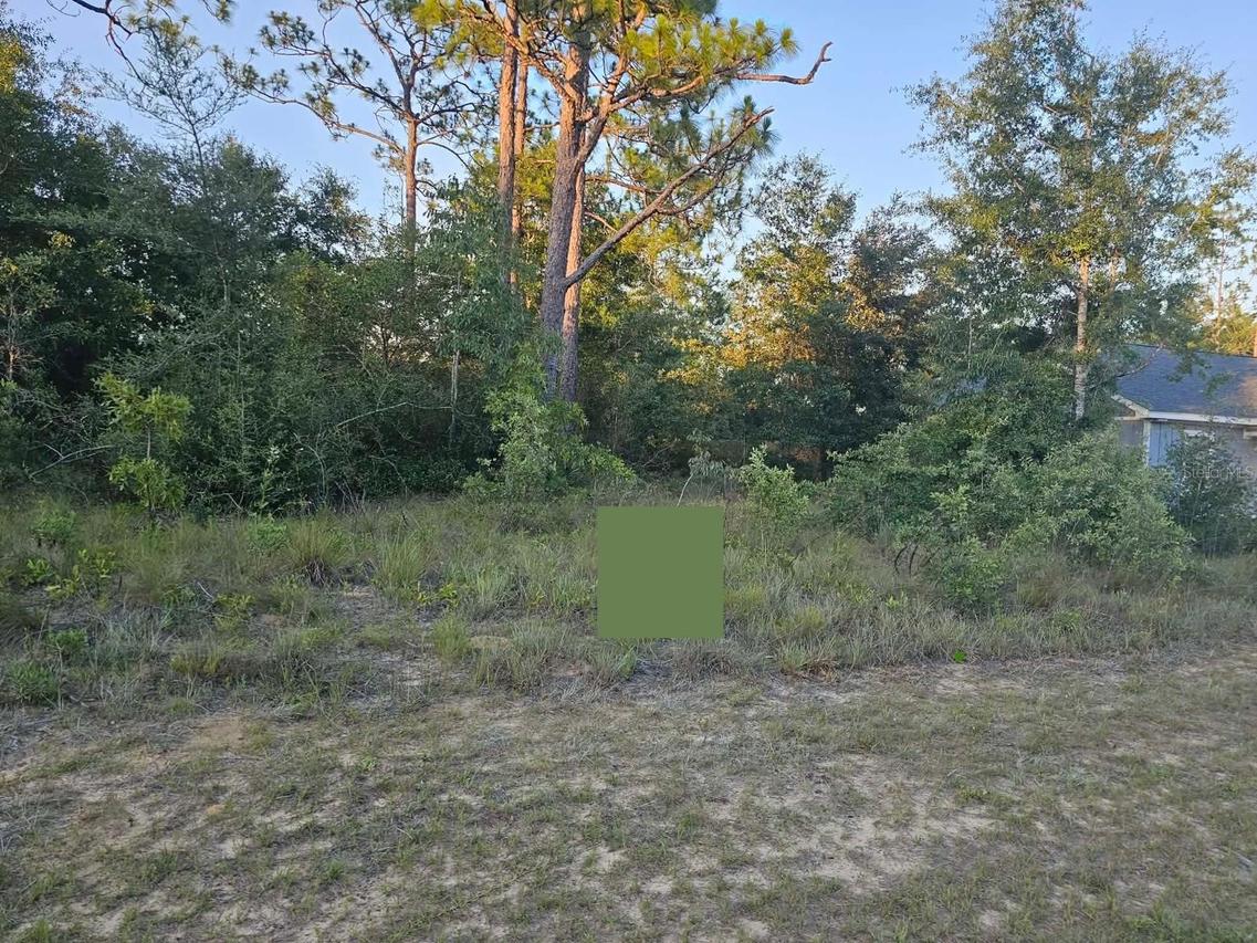 Lot 12 Shenandoah Blvd., Chipley, FL 32428
