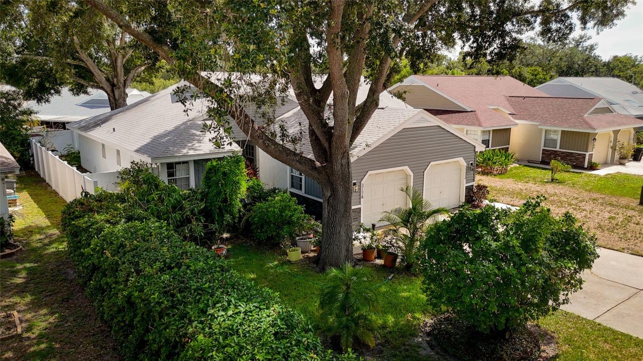 3174 Phlox Dr., Palm Harbor, FL 34684