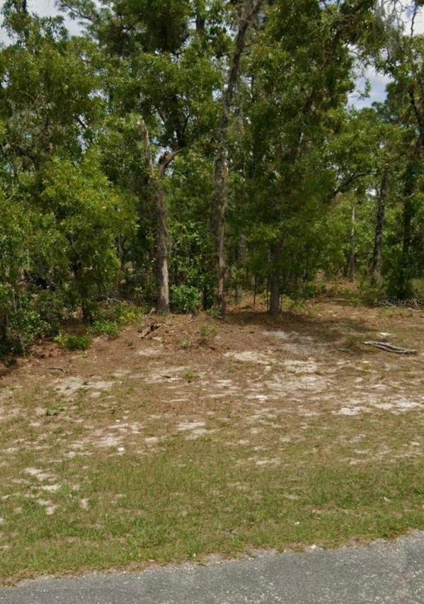 5689 N Summerfield Point, Dunnellon, FL 34434