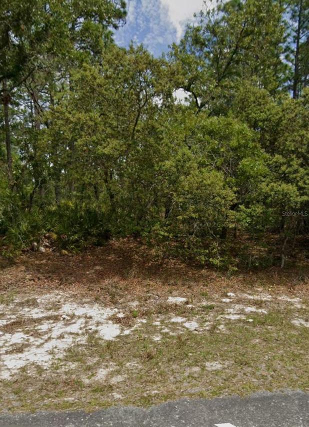 5732 N Summerfield Point, Dunnellon, FL 34434