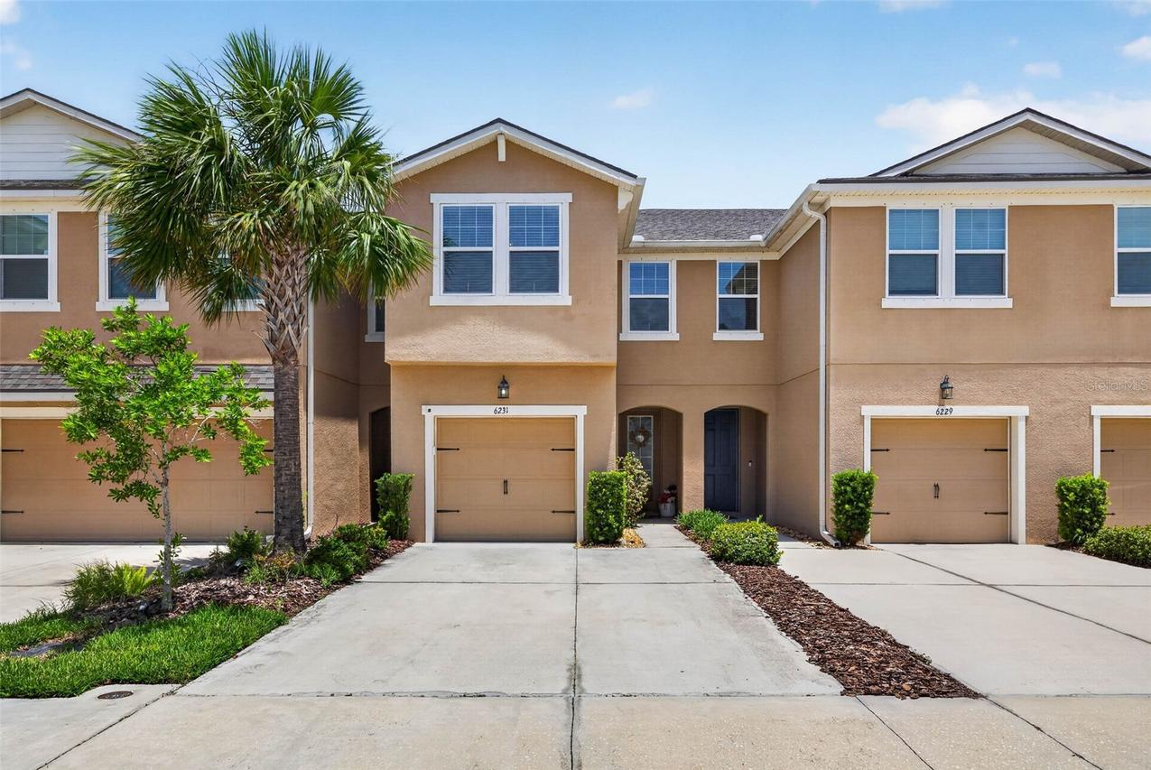 6231 Scarlet Darter Way, Tampa, FL 33625