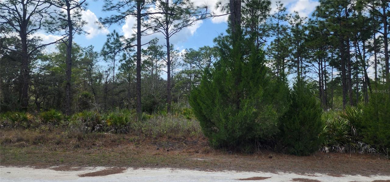 18119 Parrot Rd., Weeki Wachee, FL 34614
