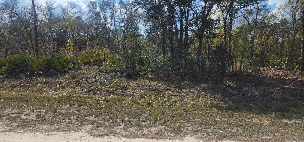 18043 Ramsey Rd., Weeki Wachee, FL 34614