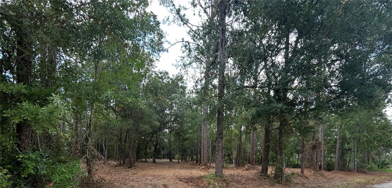 Westpoint Dr. #Lot 474, Wesley Chapel, FL 33544