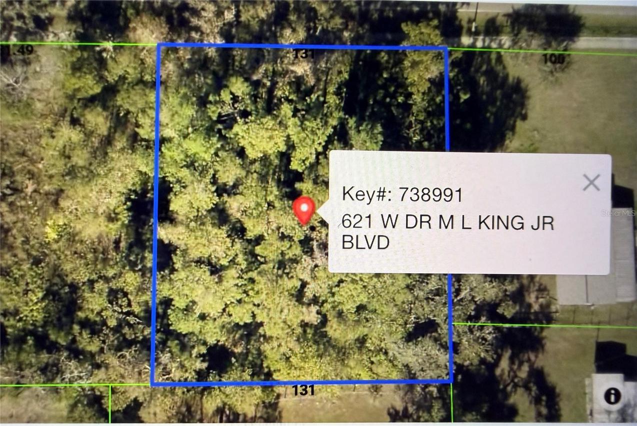 621 W Dr M L King Jr Blvd., Brooksville, FL 34601