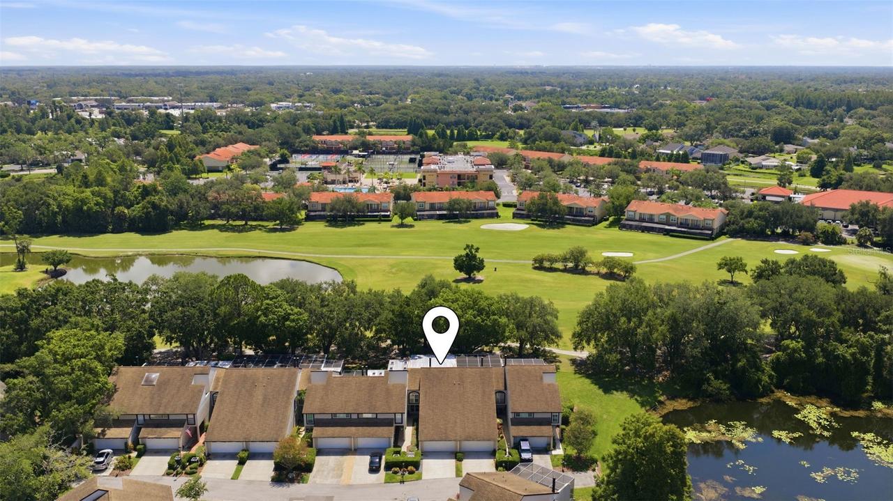 4205 Arborwood Ln., Tampa, FL 33618