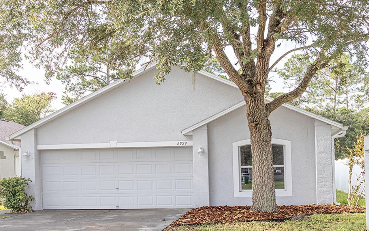6529 Tabogi Tr., Wesley Chapel, FL 33545