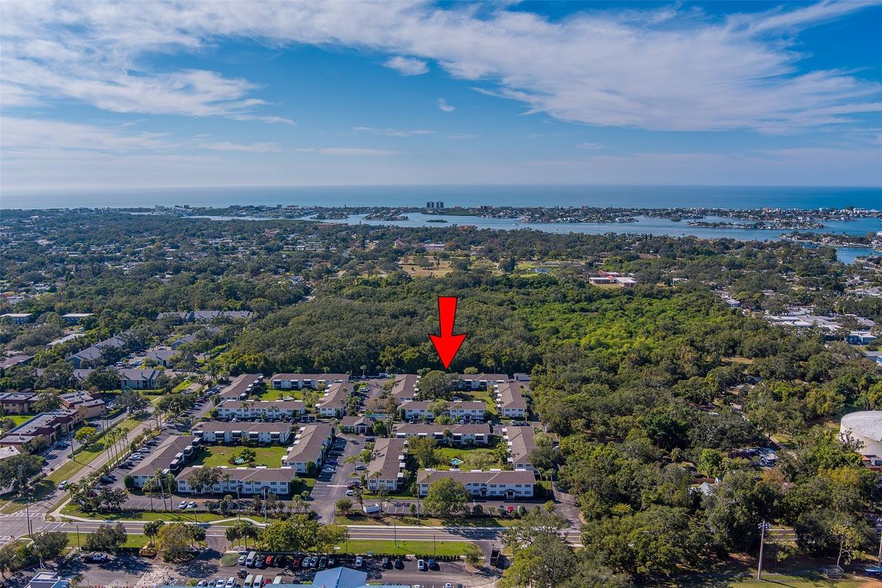 13125 Wilcox Rd. #16105, Largo, FL 33774