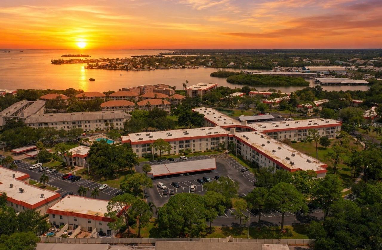 2700 Bayshore Blvd. #2110, Dunedin, FL 34698