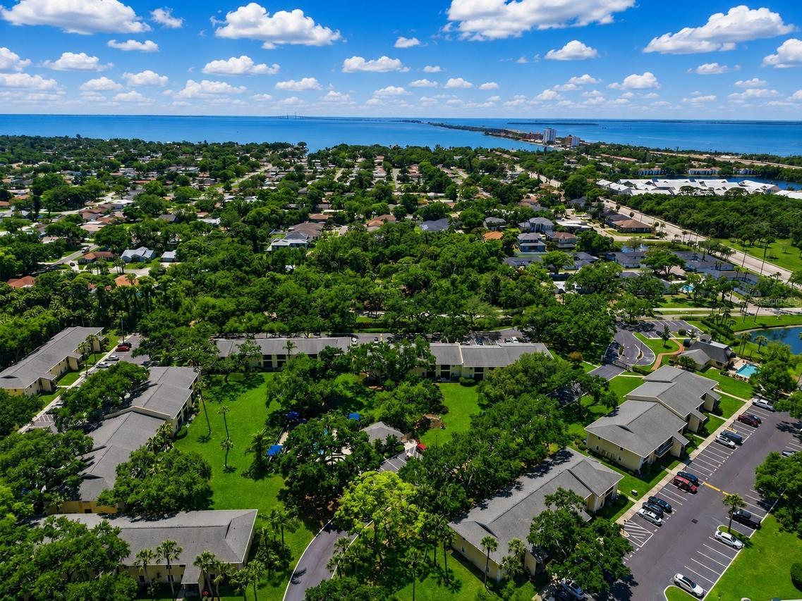 3001 58th Ave. #1014, St Petersburg, FL 33712