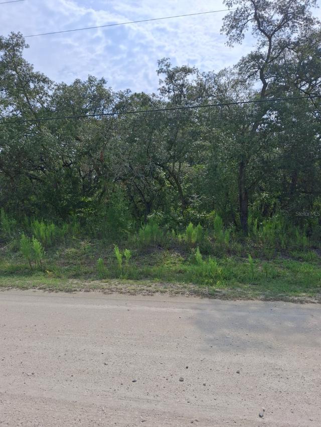 18364 Parakeet Rd., Weeki Wachee, FL 34614