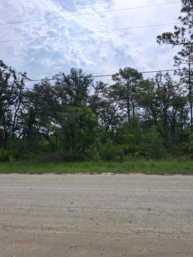 18308 Parakeet Rd., Weeki Wachee, FL 34614