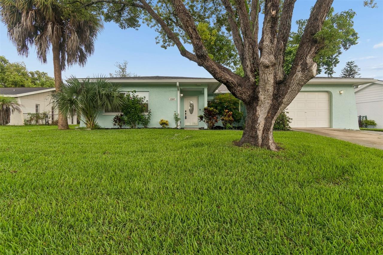 12807 Willowdale Way, Hudson, FL 34667