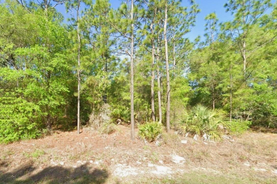 8621 N Blackthorn Ave., Crystal River, FL 34428