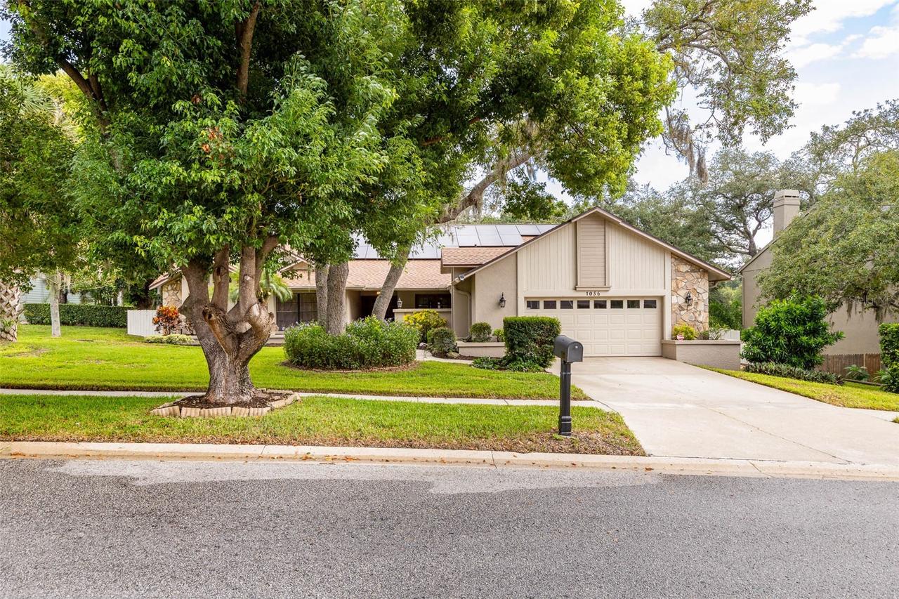 1056 Eniswood Pkwy, Palm Harbor, FL 34683