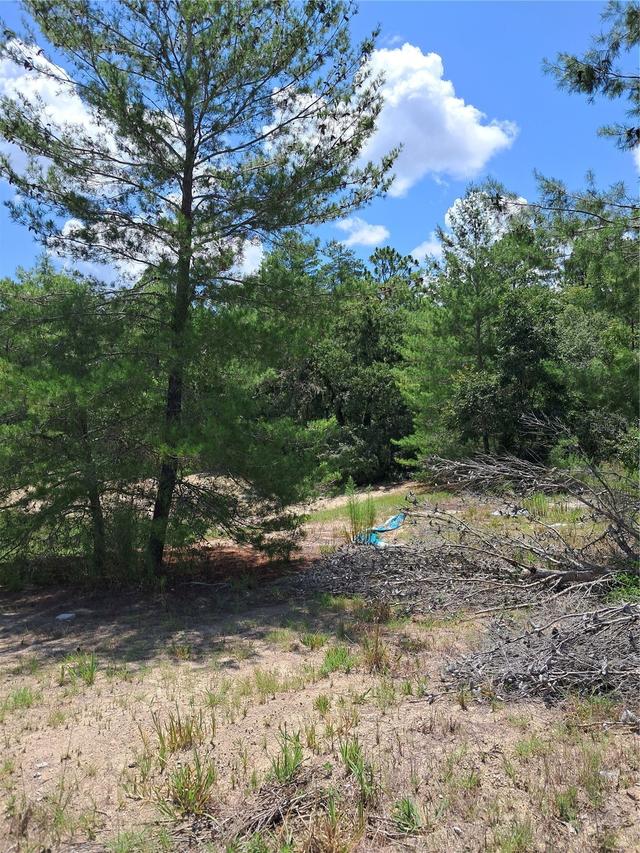 SW 65 Ave Rd., Ocala, FL 34473