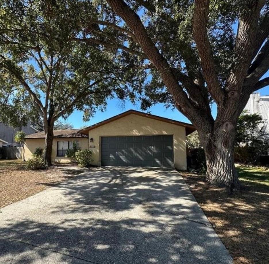 4305 Ellenville Pl., Valrico, FL 33596