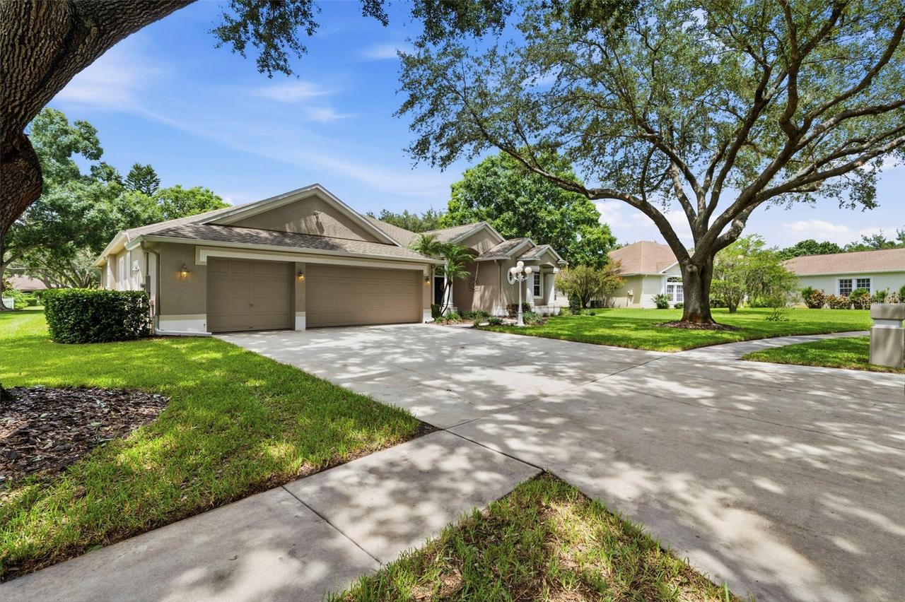 13756 Dowling Ln., Odessa, FL 33556