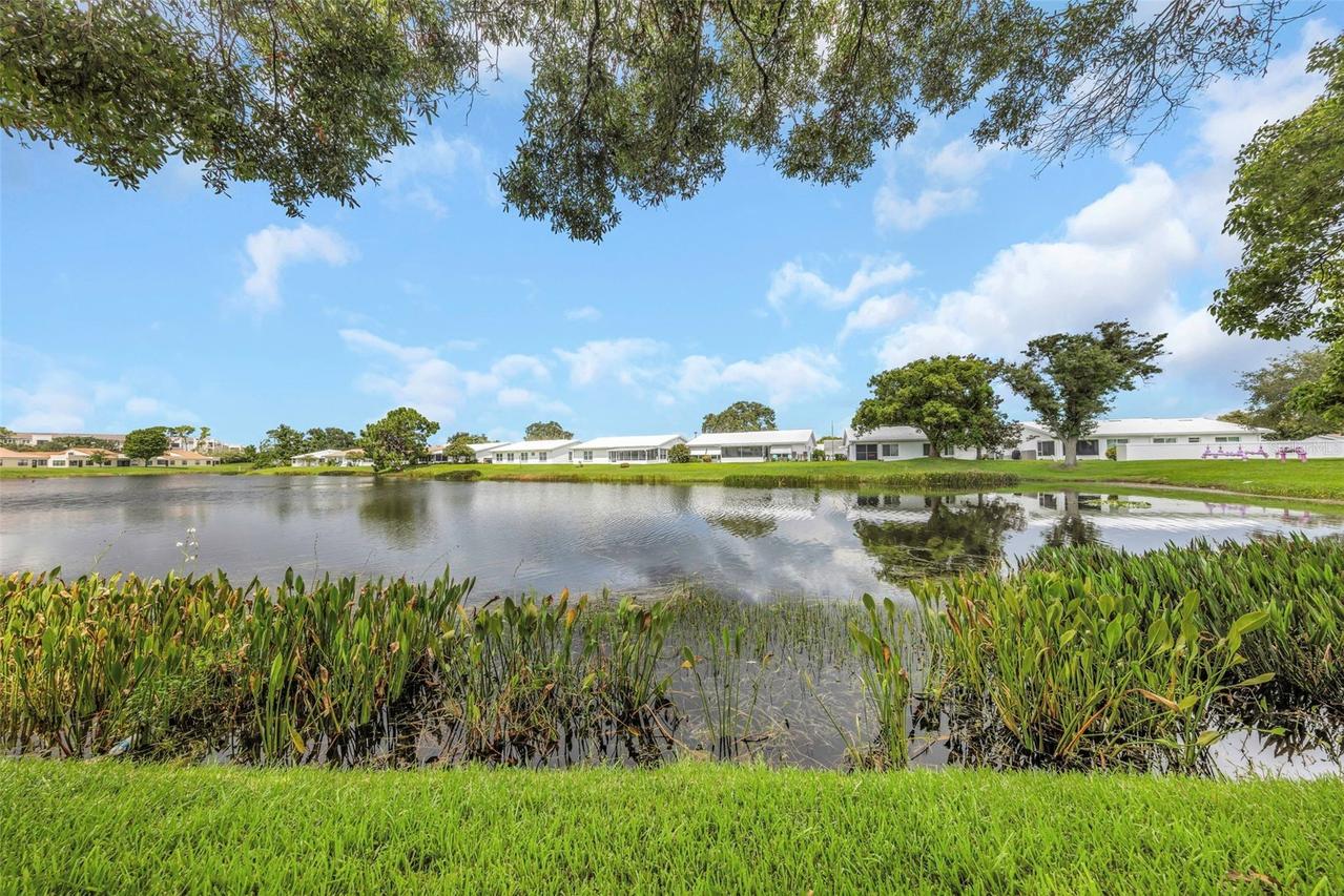 9110 40th Way, Pinellas Park, FL 33782