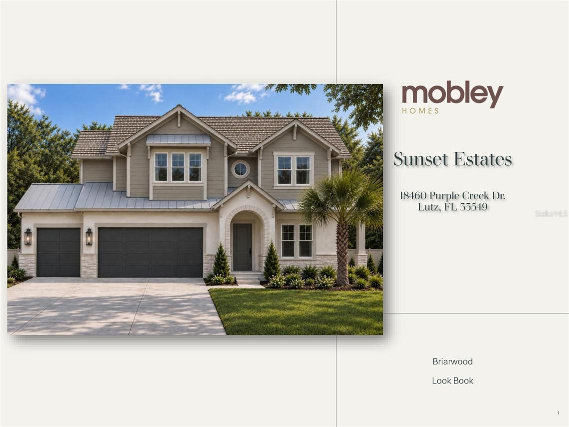 18460 Purple Creek Ln., Lutz, FL 33549