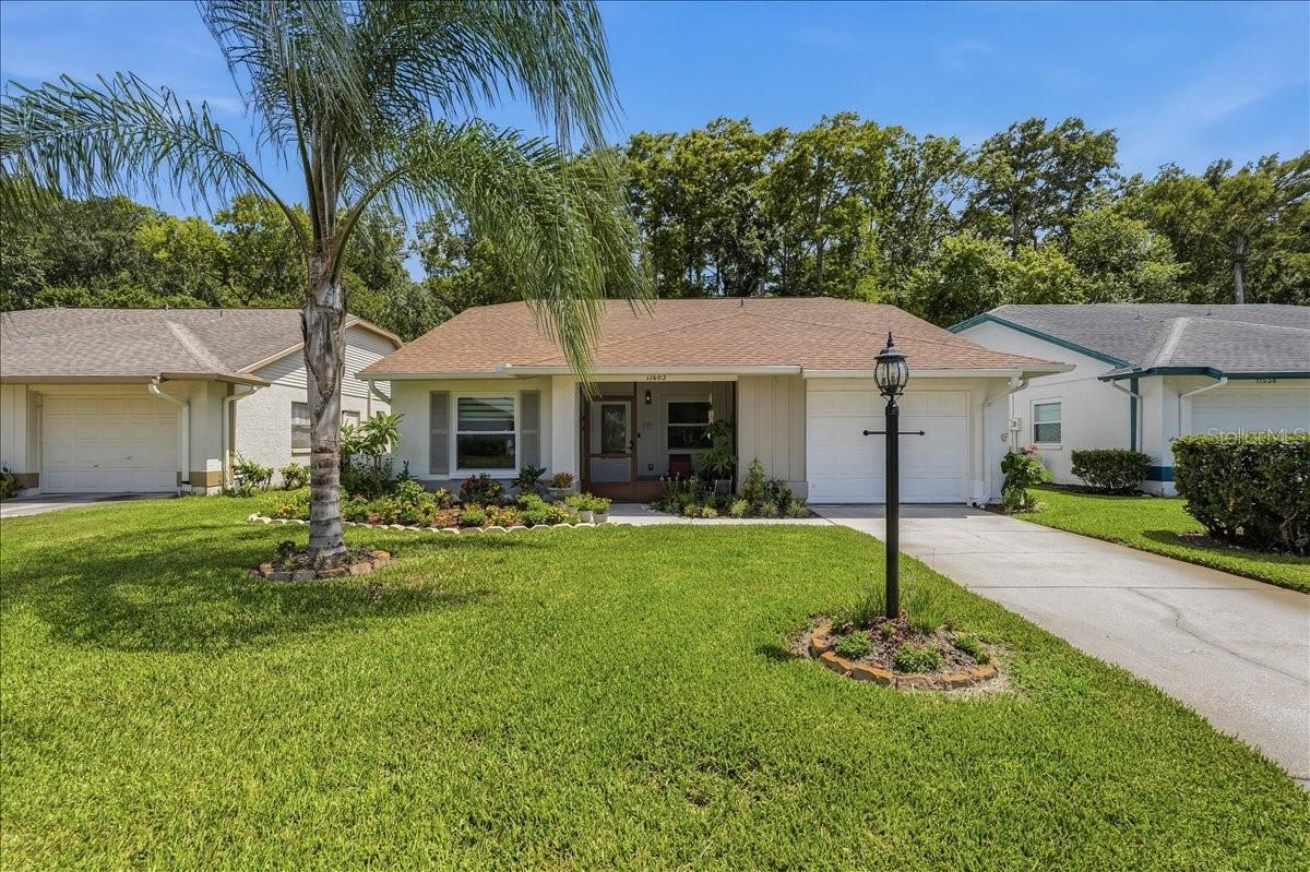 11602 White Ash Dr., New Port Richey, FL 34654