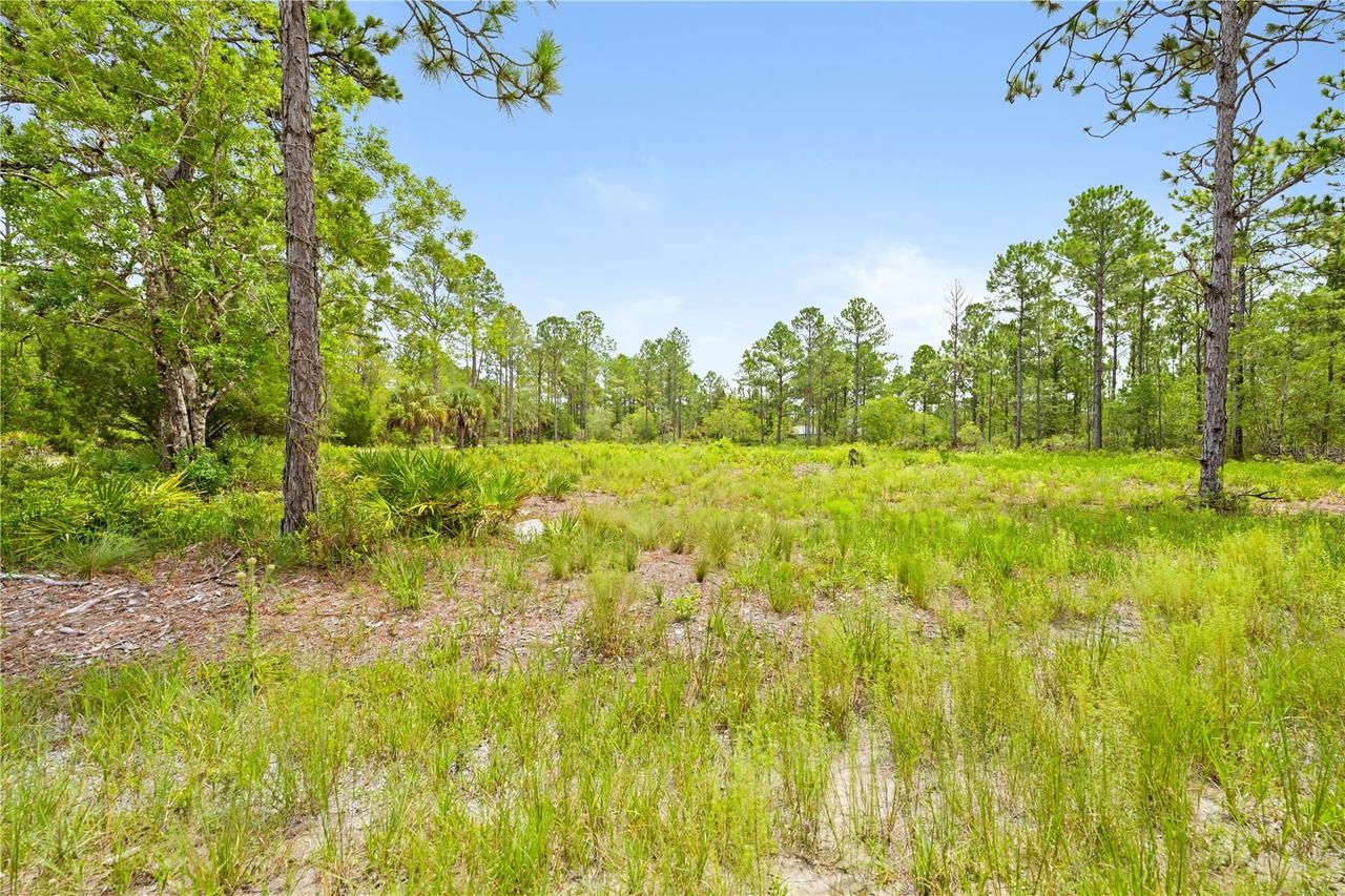 10052 Yellowbird Ave., Weeki Wachee, FL 34614