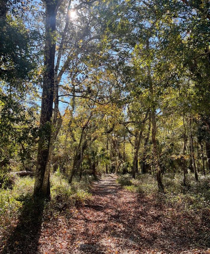 Tumbleweed Tr., Brooksville, FL 34604