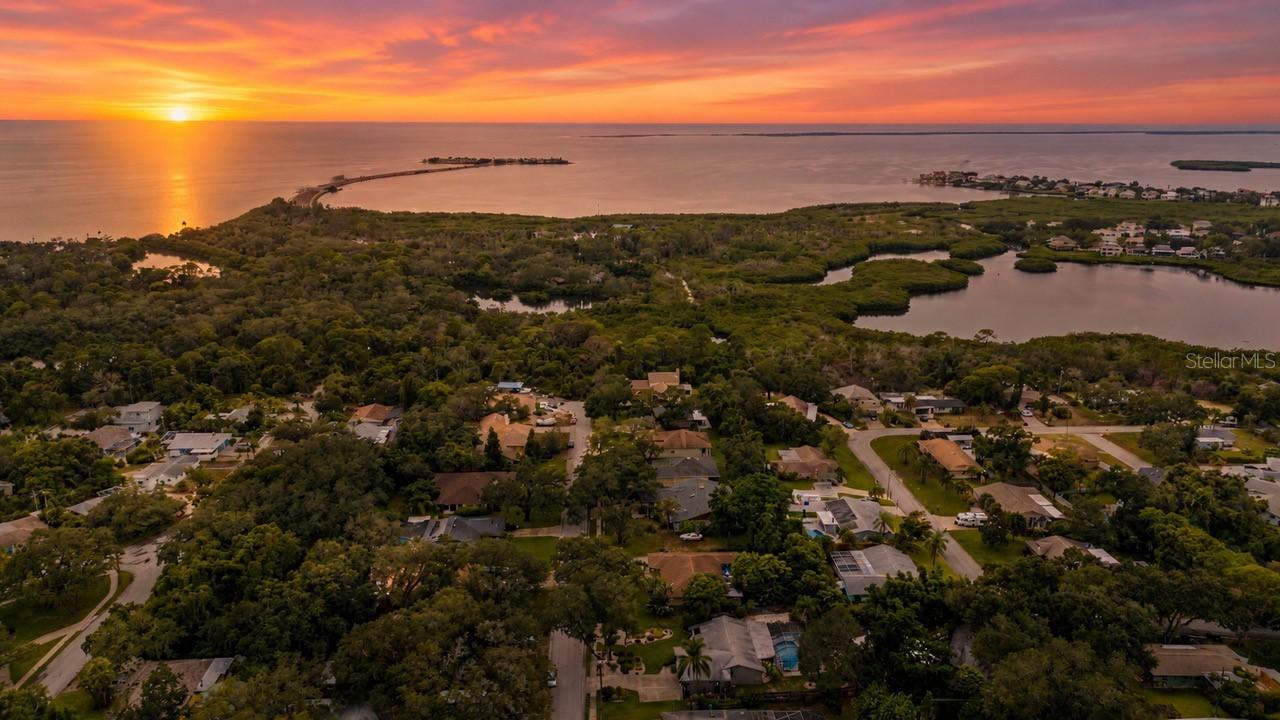 1706 Avoca Dr., Tarpon Springs, FL 34689