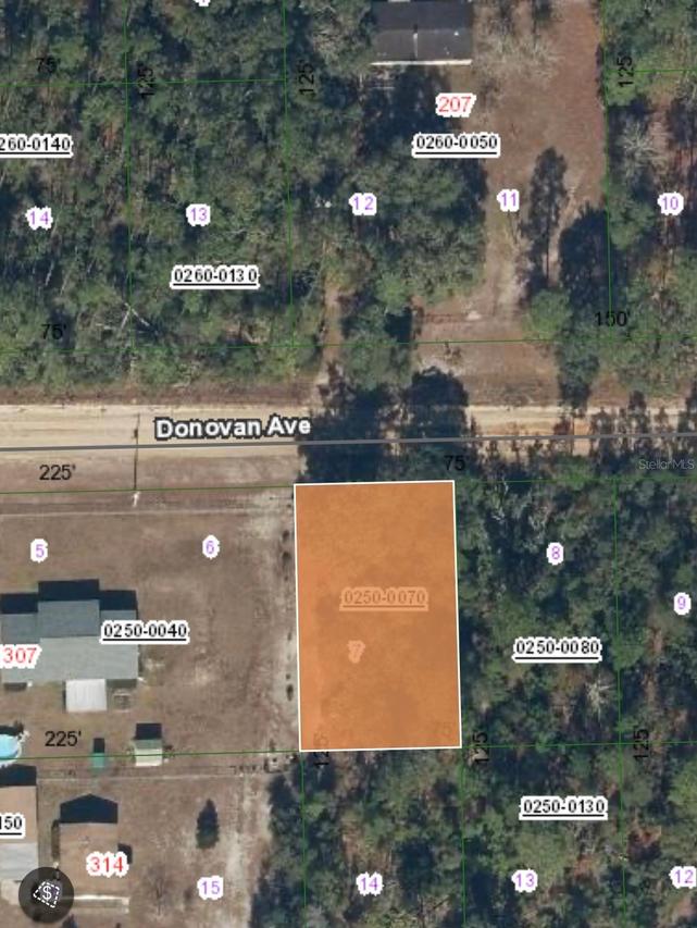 TBD Donovan Ave, Interlachen, FL 32148