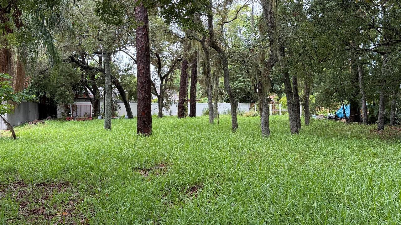 Tallahassee Dr., Tarpon Springs, FL 34689