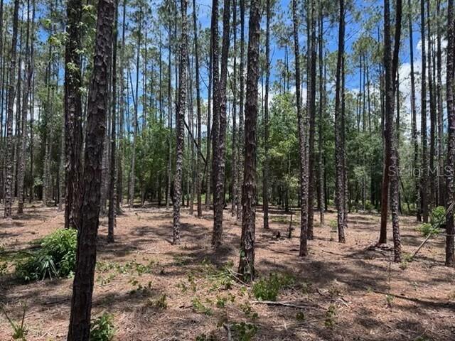 18517 Livingston Ave., Lutz, FL 33559