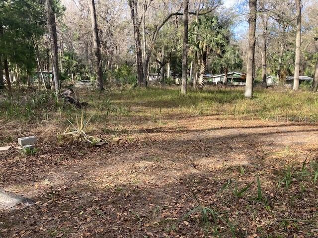 2456 N Jungle Camp Rd. #1, Inverness, FL 34453
