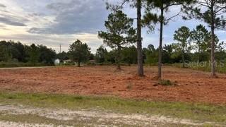 0 (BLK 177 LOT 12) Oleander Dr., Indian Lake Estates, FL 33855