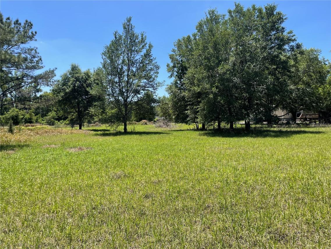 Wise Owl Rd., Brooksville, FL 34602