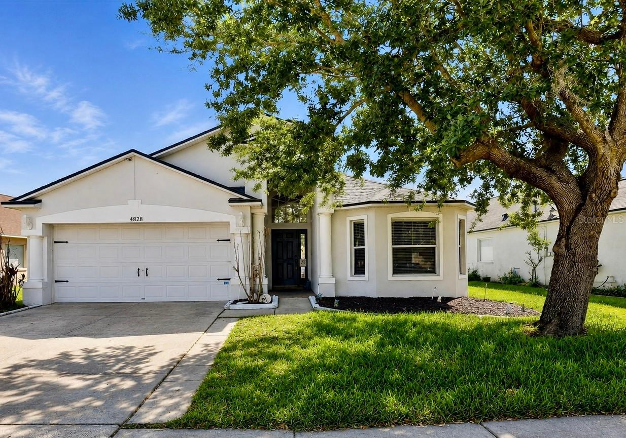 4828 Wessex Way, Land O Lakes, FL 34639