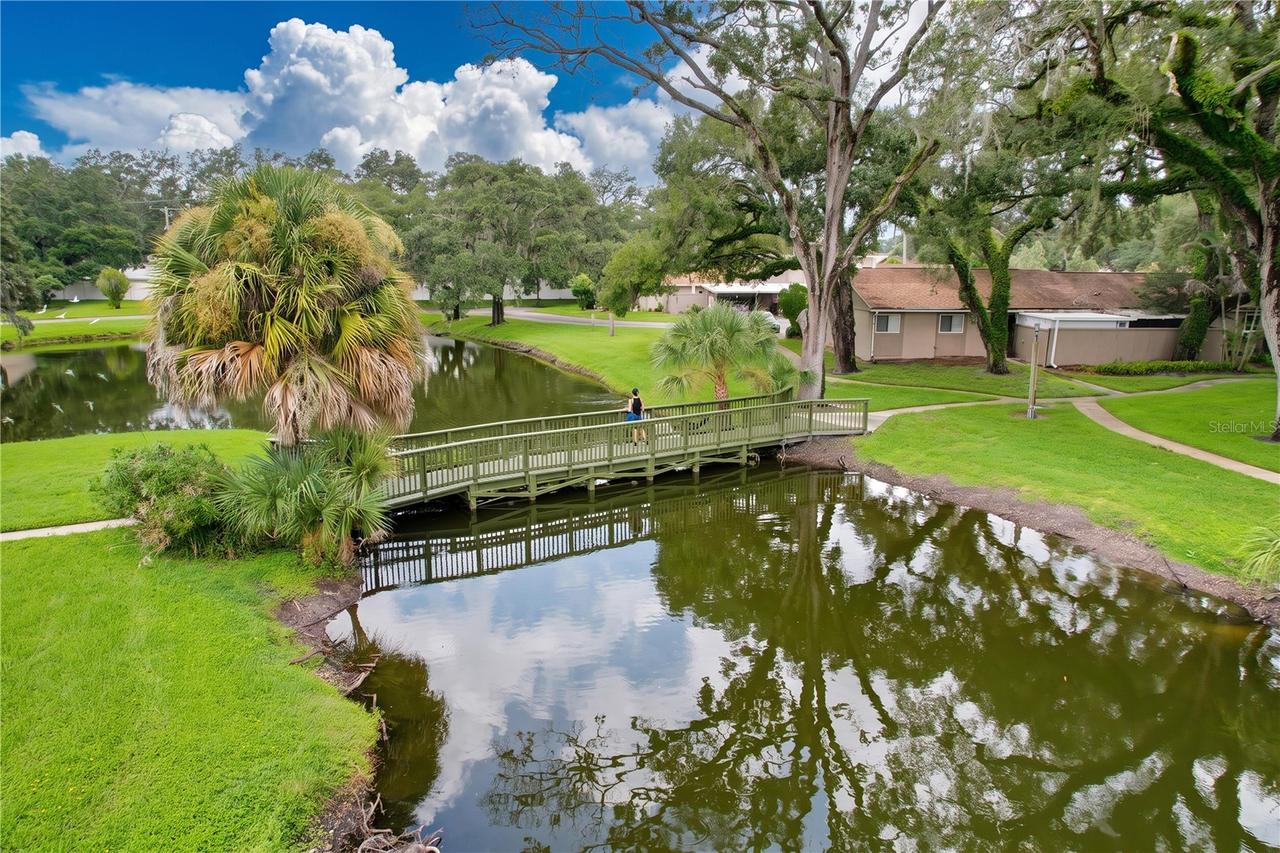 7907 Sabal Dr., Temple Terrace, FL 33637