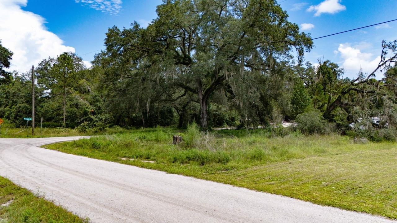 3384 Riderwood Dr., Dade City, FL 33523