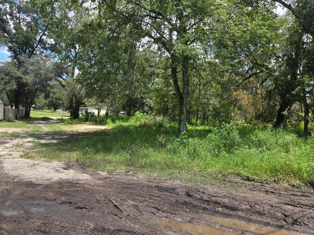 39249 Lizabeth Cir., Zephyrhills, FL 33542