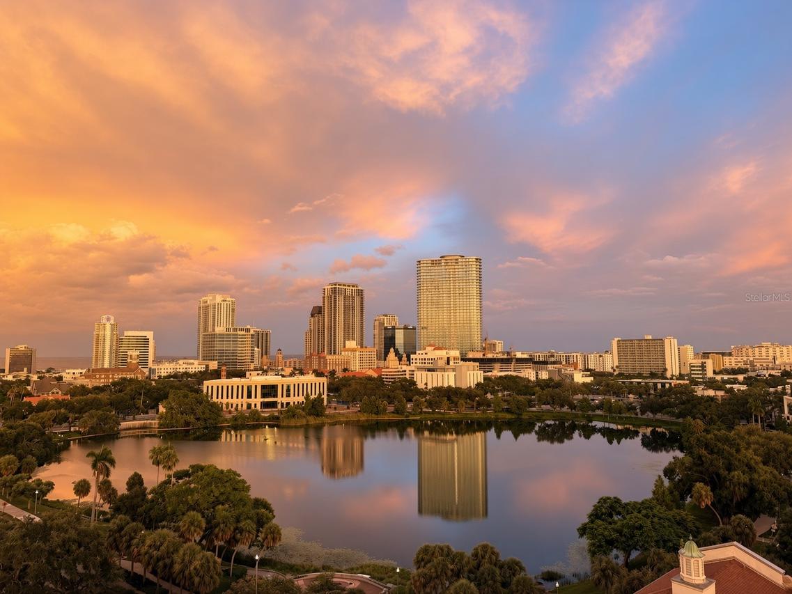 777 3rd Ave. #1104, St Petersburg, FL 33702