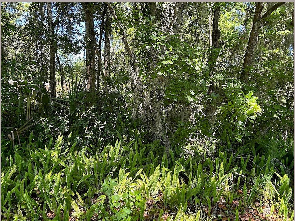 Union St., Brooksville, FL 34601