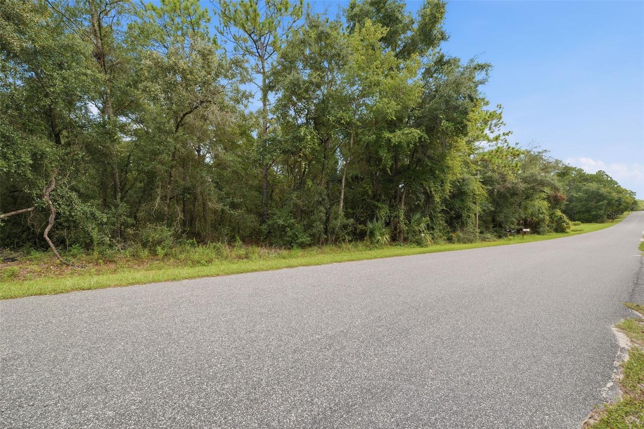 1295 E Ray St., Hernando, FL 34442