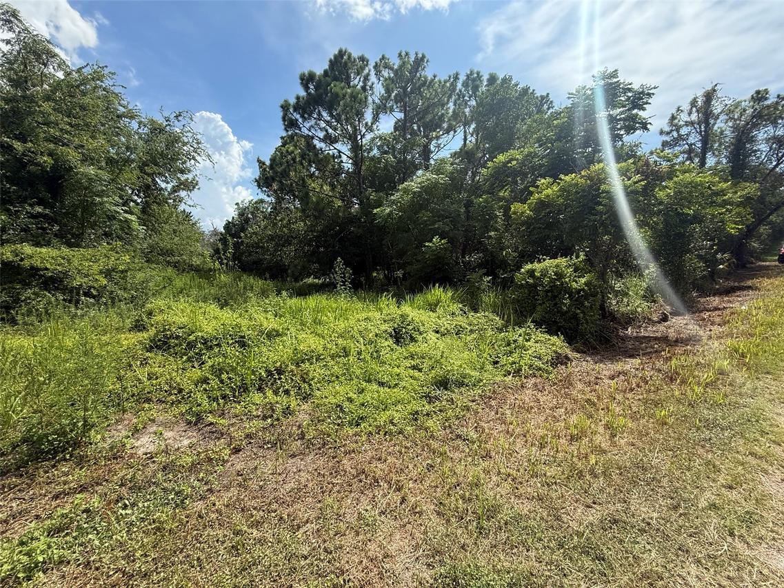 Star Rd., Brooksville, FL 34613