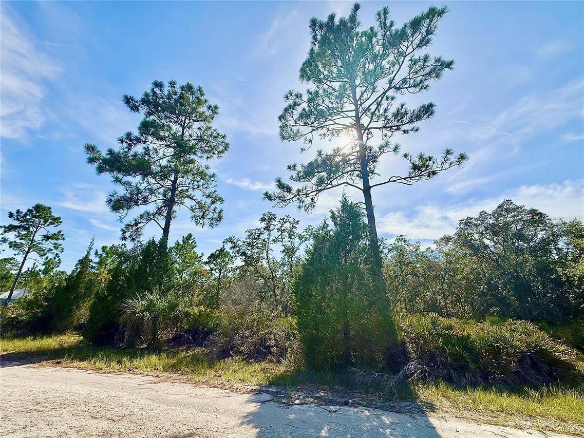 Rydal Rd., Weeki Wachee, FL 34614