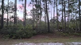 116 (BLK 62 LOT 8) Camellia Dr., Indian Lake Estates, FL 33855